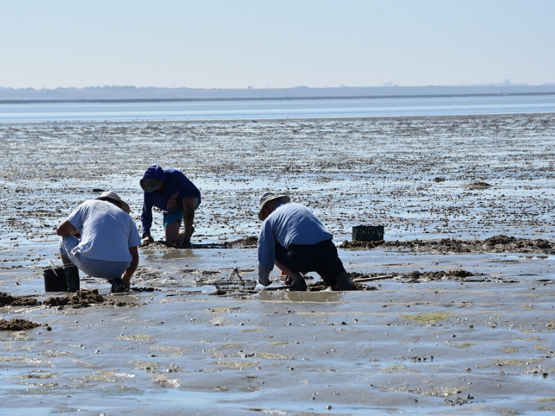 Contrôle de pêche à pied. Crédit : Cécile Barreaud / Office français de la biodiversité