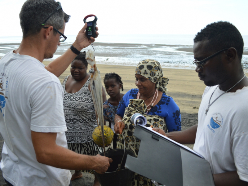 Après 3 mois de fermeture, les poulpes sont gros et la pêche est meilleure que lors des précédents comptages. Crédit photo : Fanny Cautain / OFB