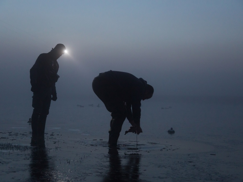 Contrôle d’appelants pour la chasse au gibier d’eau © Philippe MASSIT (OFB)