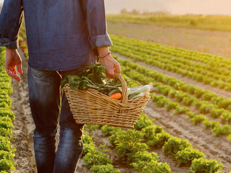 Crédit photo : Alle12 / iStock