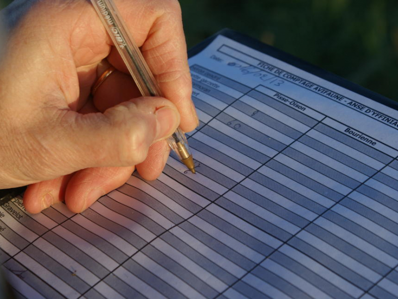 Observation et comptage d'oiseaux : relevé des informations sur la fiche de comptage avifaune. Crédit photo : Anthony Sturbois