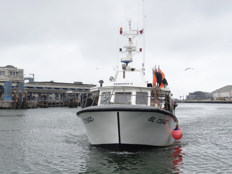 Le Néréides II est un fileyeur. Son patron, Jérémy Devogel, participe en 2020 à l’expérimentation de filets de pêche biosourcés et biodégradables, en lien avec le Parc naturel marin des estuaires picards et de la mer d'Opale et le FROM Nord, organisation de producteurs.
