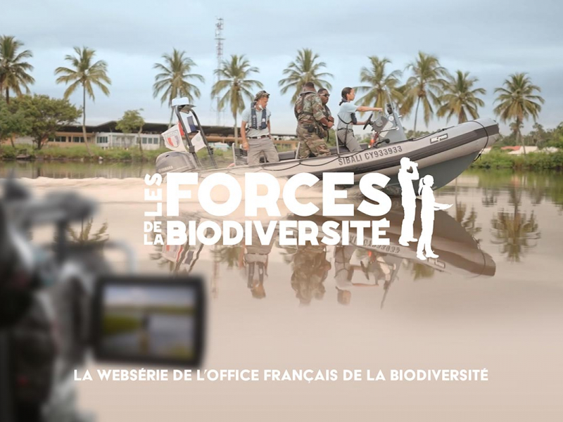 Crédit photo : Office français de la biodiversité