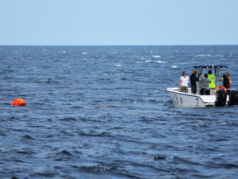 Formation des whale watchers en Martinique. Crédit photo : Amandine Escarguel / OFB