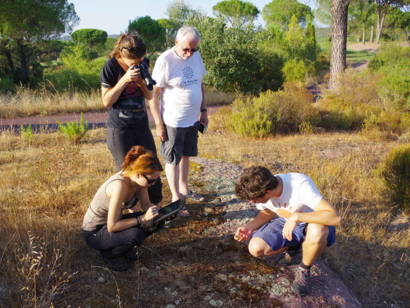 Prélèvement de lichens et géoréférencement de données dans une tablette de terrain (image d'illustration). Crédit photo : Philippe Gourdain / UMS PatriNat