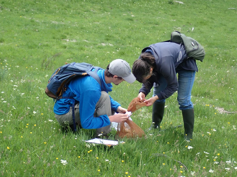 Capture et identification de lépidoptères dans le Parc national des Cévennes. Crédit photo : T. Couturier