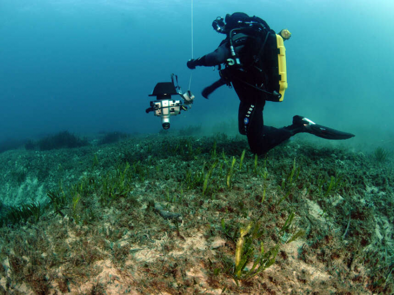 Plongeur effectuant un suivi sur un herbier. Crédit photo : Antonin Guilbert / Office français de la biodiversité