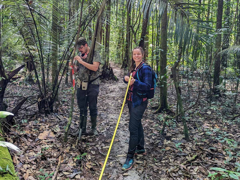 Mise en place de transects de suivis des papillons à Paracou, Guyane. Crédit photo : Manon Ghislain / PatriNat