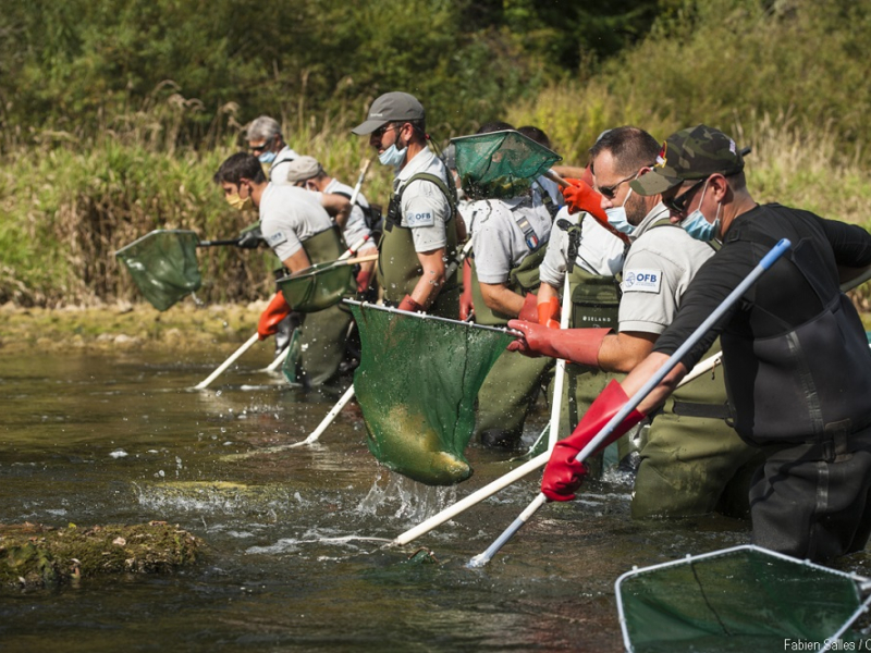 Qu’estce que la pêche électrique
