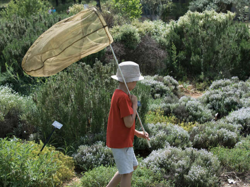 ABC du Parc naturel régional de la Sainte-Baume. Crédit photo : Céline Lecomte / OFB
