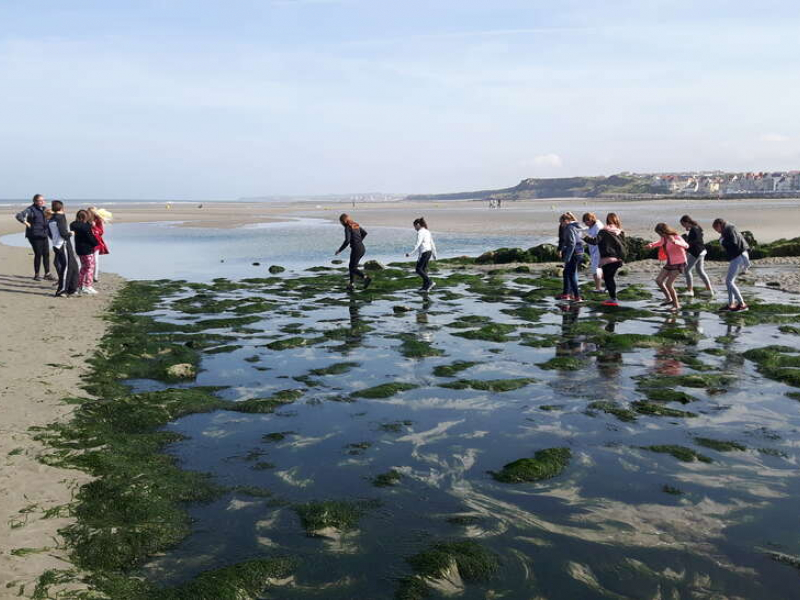 Sortie AME des CM2 de l'école Louis Pasteur de Wimereux: la classe a été reçue par deux biologistes, chercheurs et enseignantes de la Station Marine de Wimereux. Crédit : Line Viera / OFB