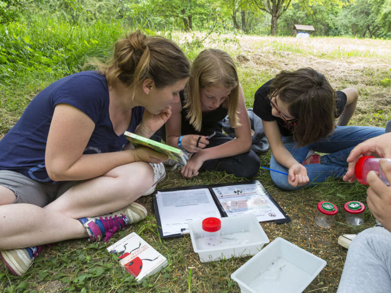 ortie en forêt pour les élèves de la classe de 6e de l’aire éducative terrestre du collège de Golbey dans le cadre d’un atelier « découverte des petites bêtes du sol ». Crédit photo : Philippe Massit / OFB