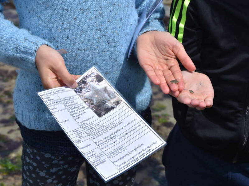 Découverte de la biodiversité dans une AME. Crédit photo : Sébastien Meslin / OFB