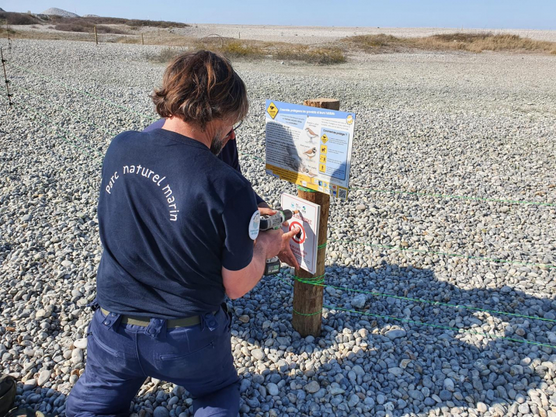 Installation de la zone de tranquilité temporaire à Cayeux-sur-mer. Crédit : Pierre Bourgeon / OFB
