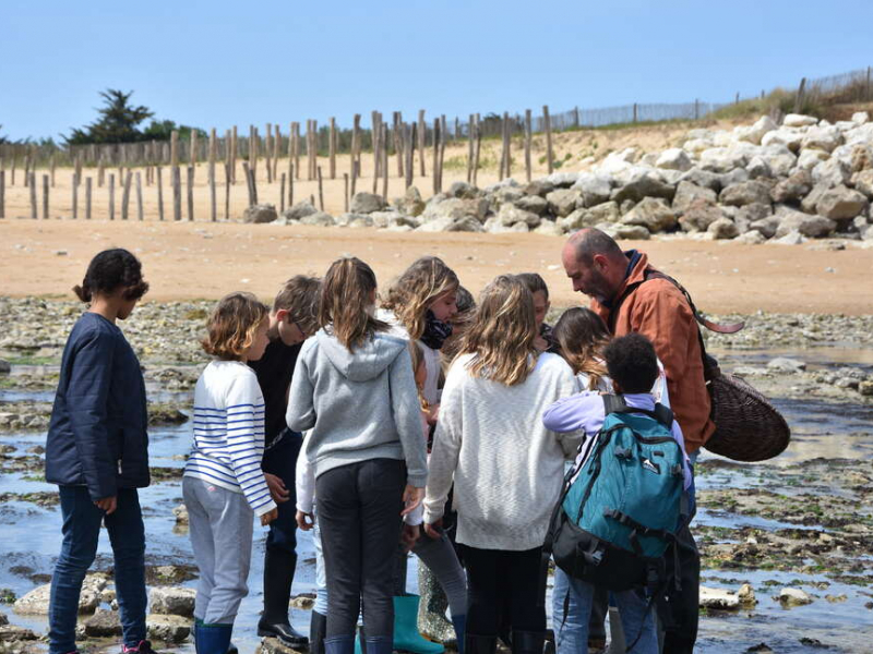 ortie des élèves de CM2 de l'école de La Brée sur l'estran (plage de La Brée), avec l'association CPIE IODDE Marennes-Oléron pour l'aire marine éducative (AME). Crédit photo ; Sébastien Meslin / OFB