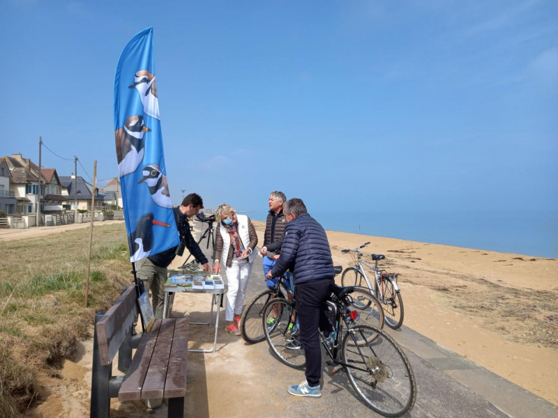 Stand de sensibilisation consacré à la nidification des limicoles nicheurs des plages, ici tenu par le GONm
