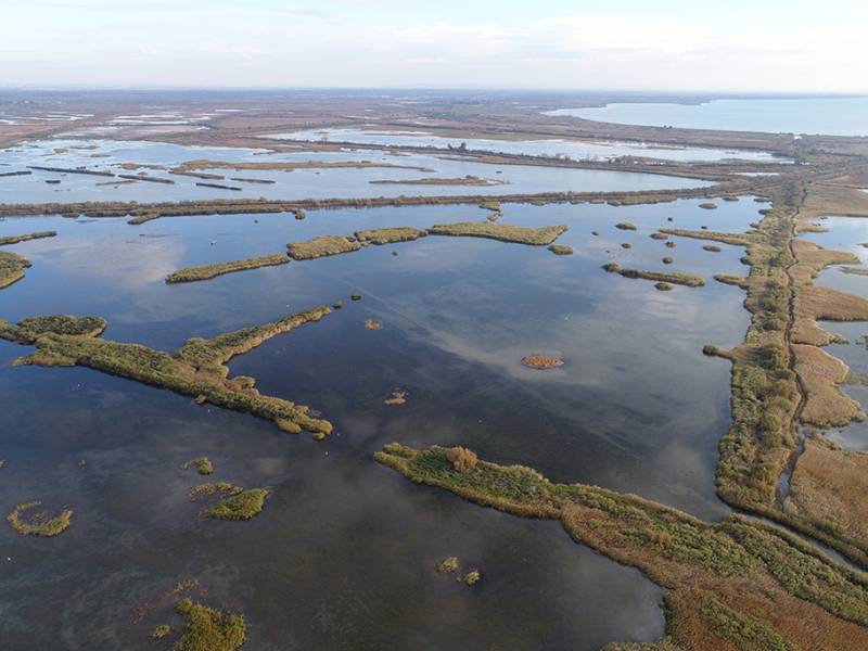 Vue aérienne du marais de la Sigoulette, Grandes Cabanes du Vaccarès Sud. Crédit photo : Paul Garcin