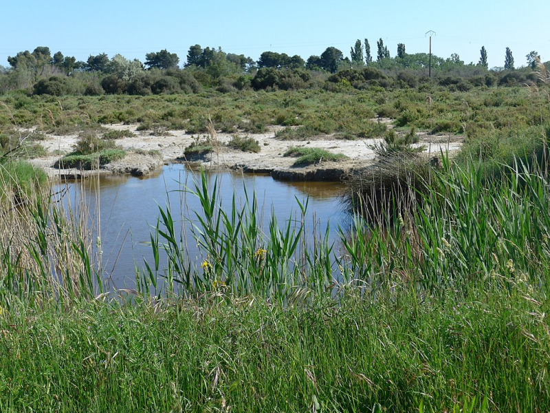 Le domaine de la Tour du Valat. Crédit photo : Celeda, CC BY-SA 4.0