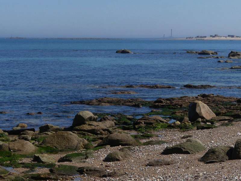 Le site Natura 2000 « Récifs et marais arrière-littoraux du Cap Lévi à la Pointe de Saire ». Crédit photo : Sophie Poncet / OFB
