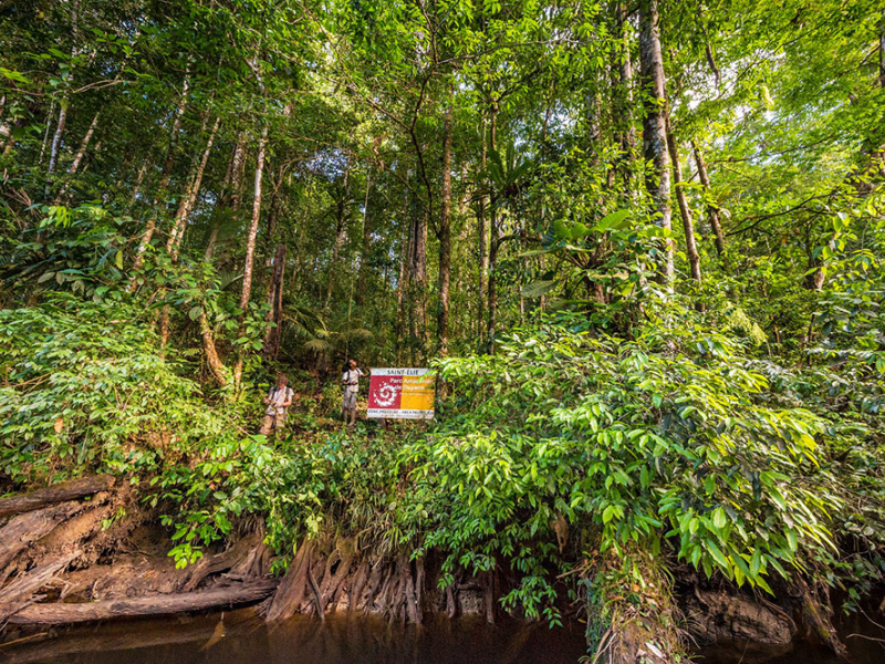 Mission scientifique dans la zone du Haut Koursibo dans le Parc amazonien de Guyane. Crédit photo : Aurélien Brusini