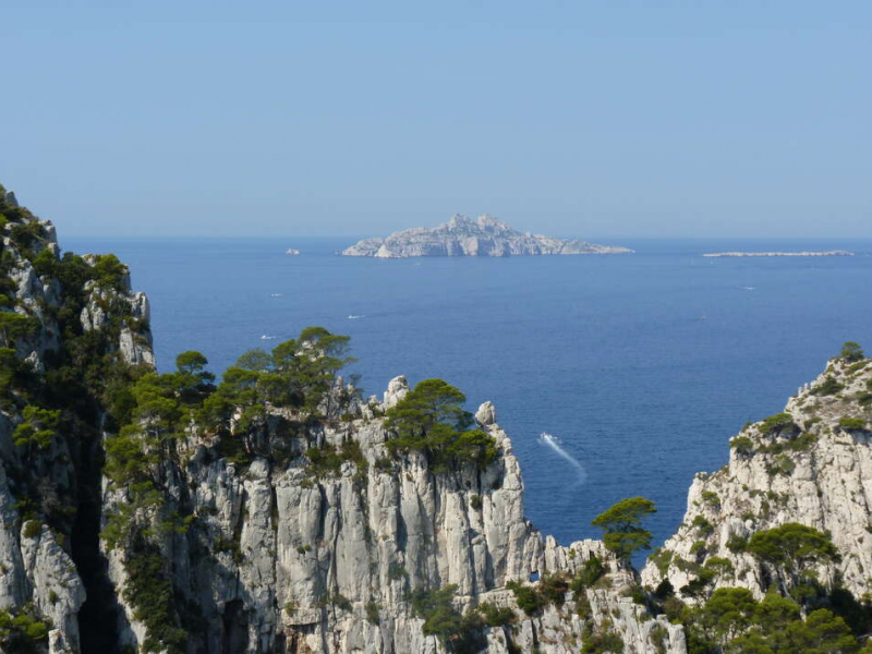 Crédit: Benjamin Guichard / Office français de la biodiversité