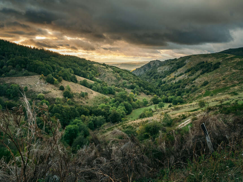 Crédit: Antoine Forget / Office français de la biodiversité