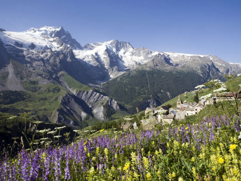 Crédit: Parc national des Ecrins / Pascal Saulay