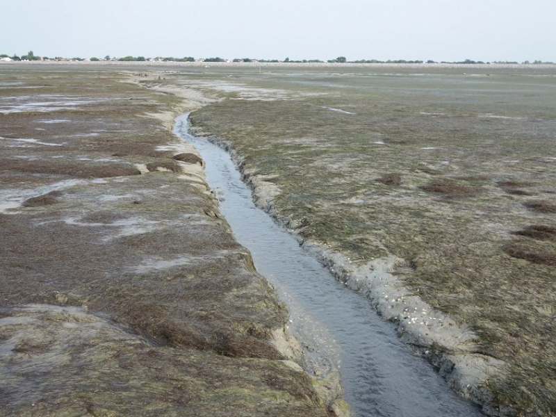 Vue sur la zone concernée par l’intervention de la société Seaboost près de l’Ile-de-Ré. Crédits : Emmanuelle Jaouen - OFB 