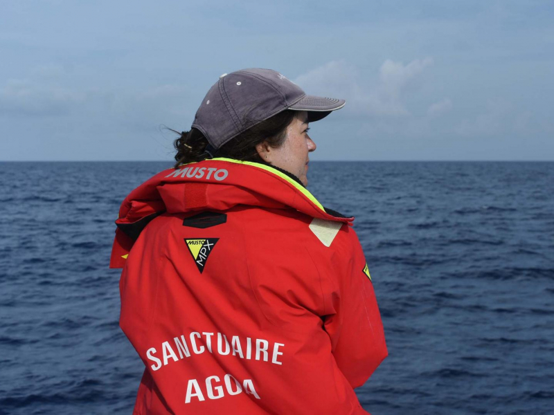 Un agent du sanctuaire Agoa en observation lors d'une campagne de transects. Crédit photo : B. de Montgolfier / Aquasearch