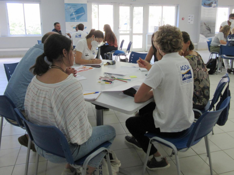 Atelier de concertation. Crédit photo : Amandine Escarguel / OFB