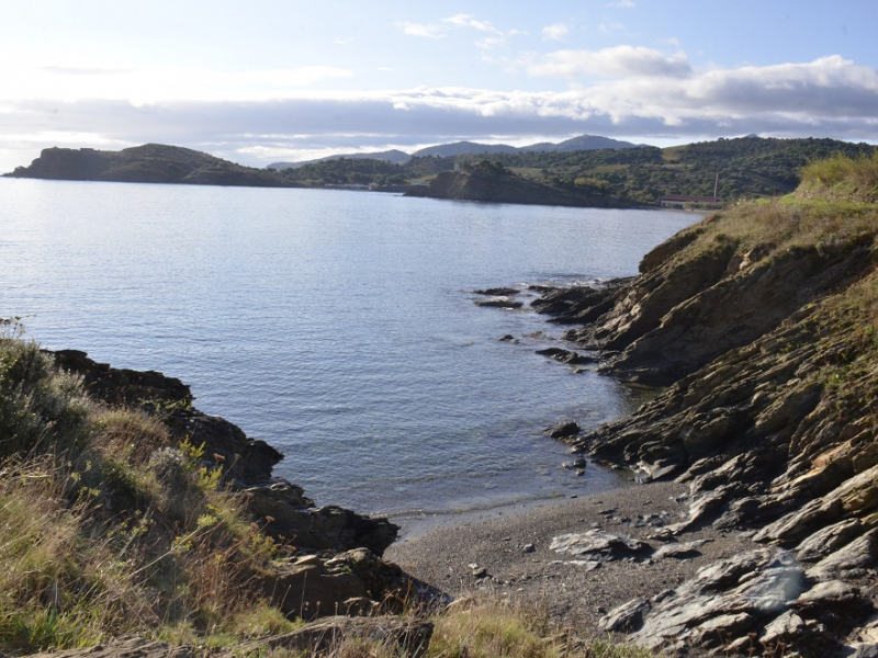 Le Parc naturel marin du golfe du Lion. Crédit photo : Marie Morineaux / OFB