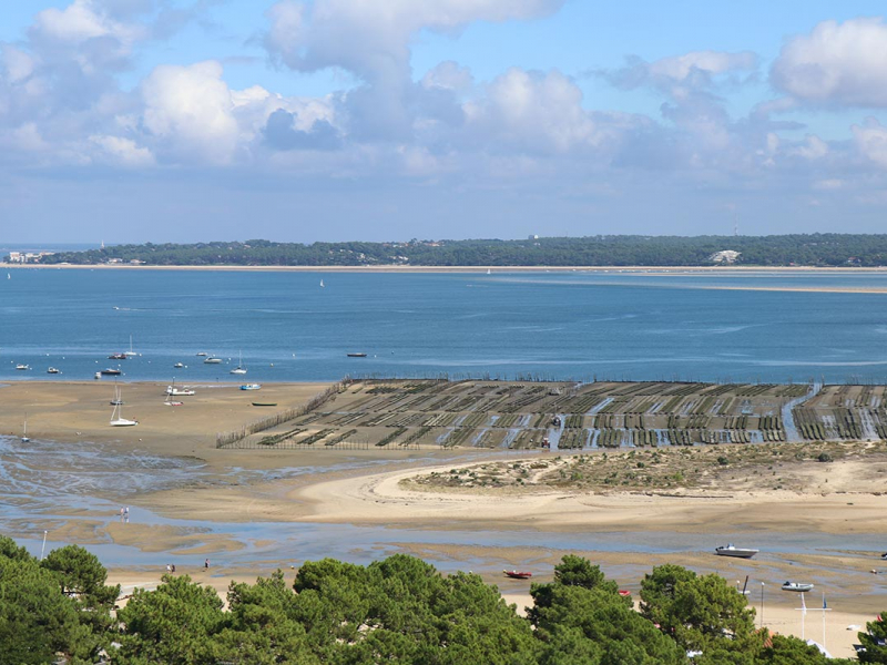 Paysage du Parc naturel marin du Bassin d'Arcachon. Crédit photo : Romuald Chaigneau / OFB