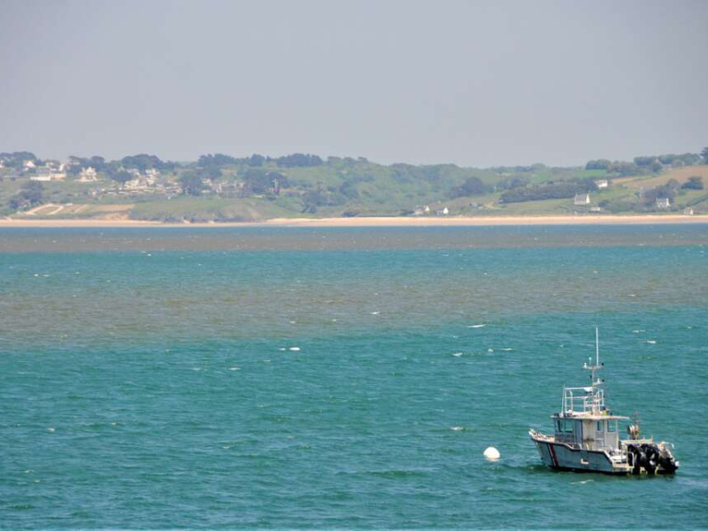 Prolifération de phytoplanctons en baie de Douarnenez. Crédit photo : Livier Schweyer / Office français de la biodiversité