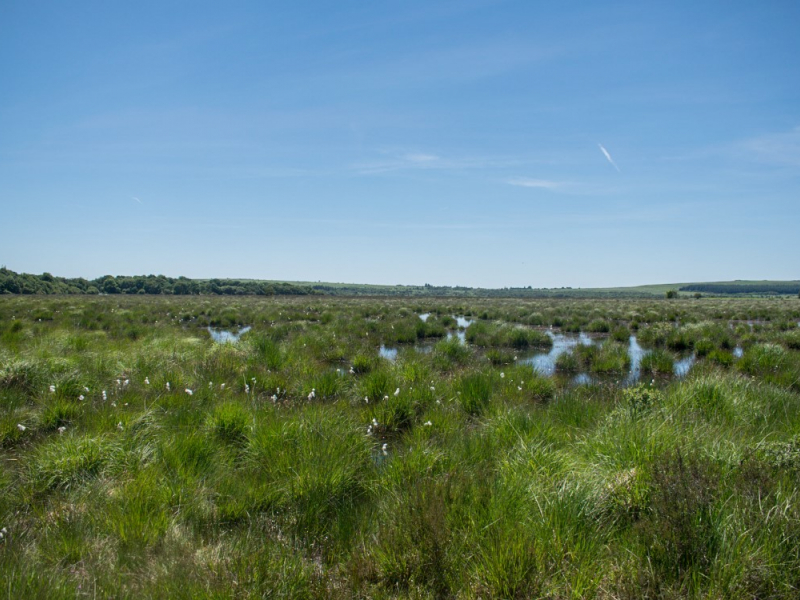 Réserve Naturelle Nationale du Venec. Crédit photo : V. Herledan