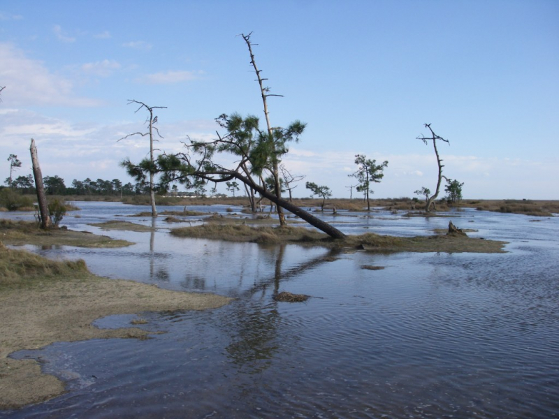 La réserve naturelle nationale des Prés Salés d’Arès et de Lège-Cap Ferret. Crédit photo : Association ARPEGE