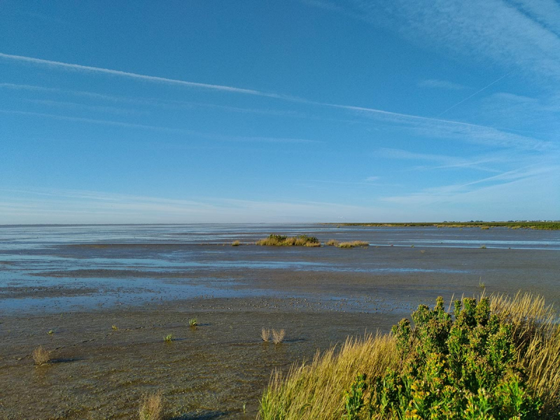 La réserve naturelle nationale de la baie de l’Aiguillon. Crédit photo : Réserve naturelle nationale de la baie de l’Aiguillon