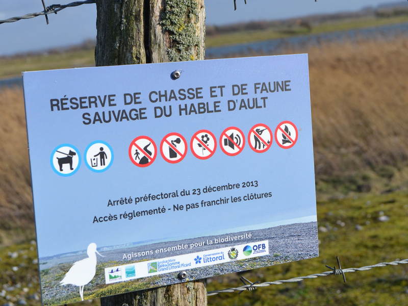 La réserve de chasse et de faune sauvage du Hâble d'Ault. Crédit photo : Nathalie Chevallier / OFB