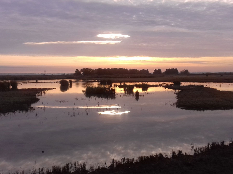 Lever de soleil sur la réserve de chasse et de faune sauvage de Terres d'Oiseau. Crédit photo : M. Fayet