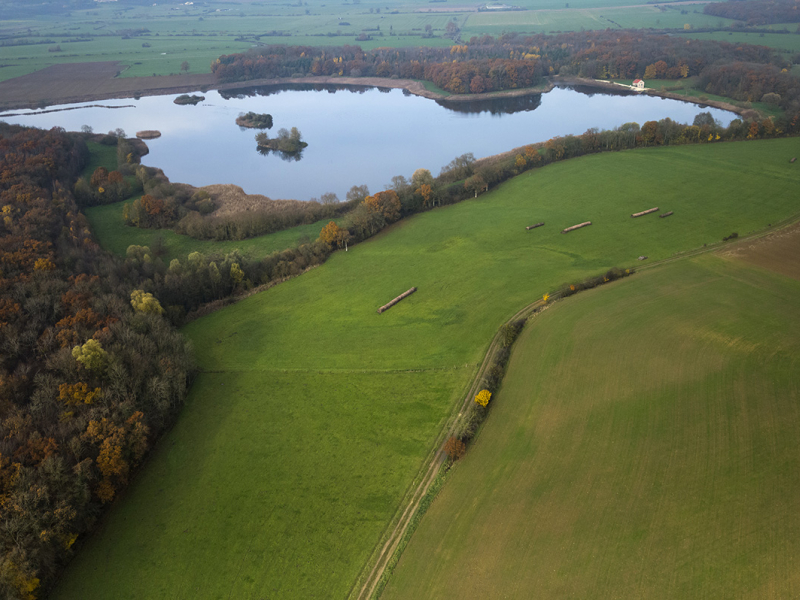 La réserve nationale de chasse et de faune sauvage du lac de Madine. Crédit photo : Frédéric Larrey / CDL