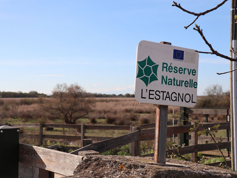 Réserve naturelle nationale de l’Estagnol. Crédit photo : Rémi Knaff / OFB