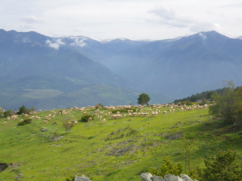 La réserve naturelle nationale de Jujols. Crédit photo : Karine Geslot