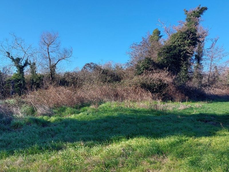 Visite de l'exploitation d'Ange-Noël Luigi à Aléria : Couverture permanente du sol (luzerne) et ripisylves préservées en zone agricole inondable. Crédit photo : Solène Cusset / OFB