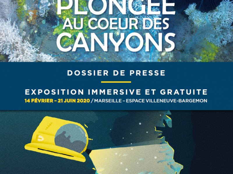 Une exposition immersive et gratuite