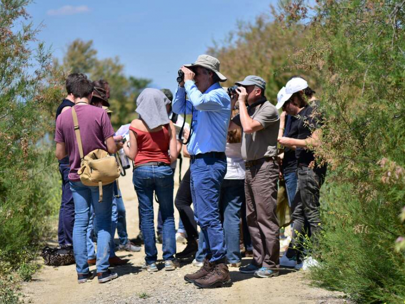 Observation d'oiseaux dans le cadre de la Fête de la nature 2019. Crédit photo : Séverine Bignon / OFB