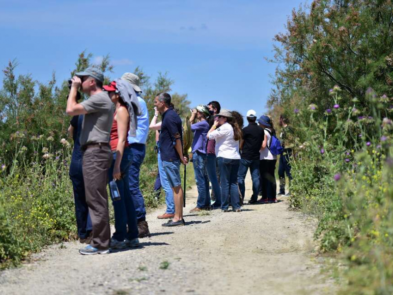 Sensibilisation du public lors de la Fête de la nature 2019. Crédit photo : Severine Bignon / OFB