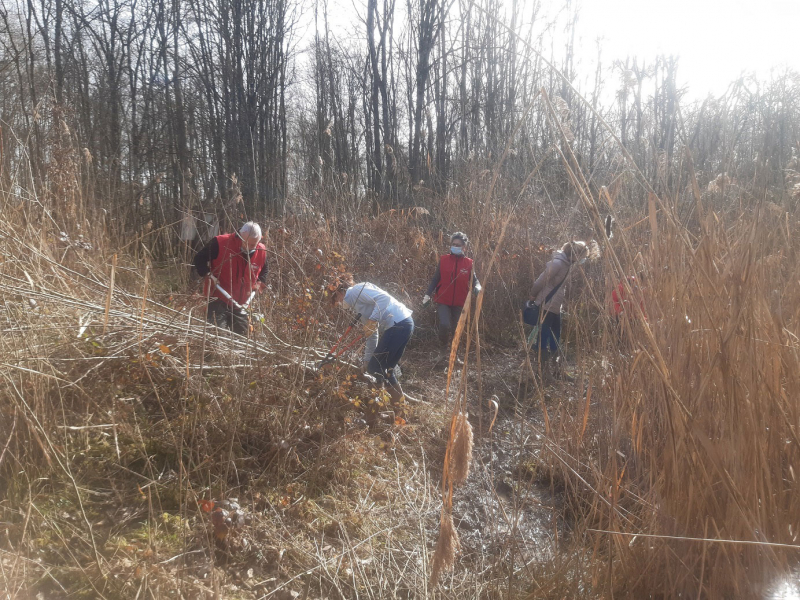 Journée de sensibilisation au lac du Der et des étangs d’Outines et d’Arrigny. Crédit photo : OFB