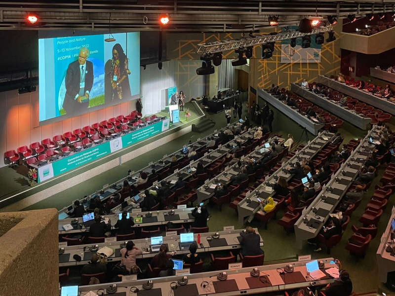 Plenary of the COP14 Ramsar. Credit: H. Aden / MTECT