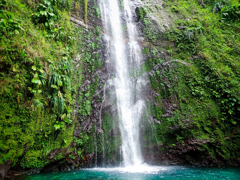 Chutes Moreau, Guadeloupe. Crédit photo : Ingrid Neveu / OFB