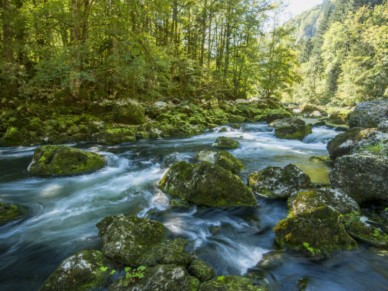 Le Doubs est une rivière française et suisse traversant trois départements de la région Bourgogne-Franche-Comté : le Doubs auquel il a donné son nom, le Jura et la Saône-et-Loire. Crédit photo : Fabien Salles / OFB