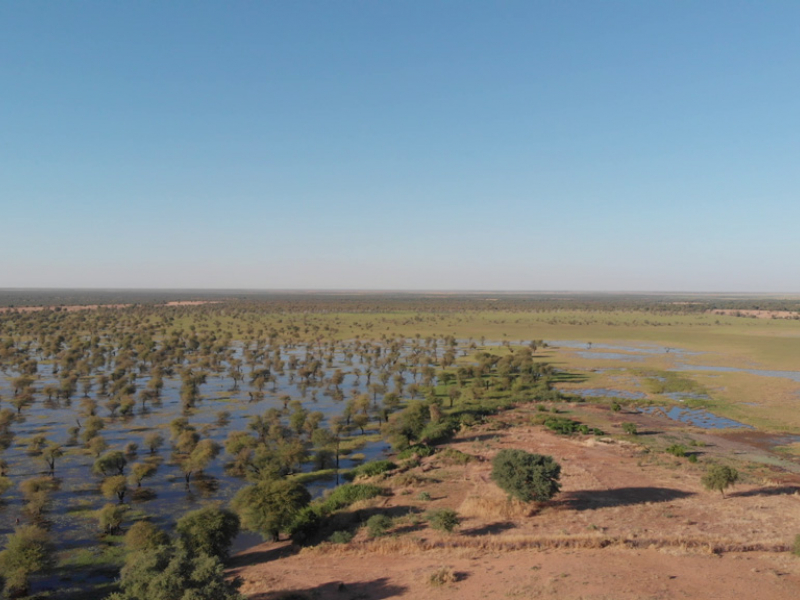 Vue par drone d’une zone humide du Khor Abou Habil. Crédit photo : Alizée Chiappini & Camille Barbé